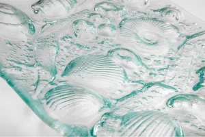 Sea plate close up